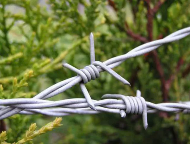 Arame farpado galvanizado e revestido a PVC
