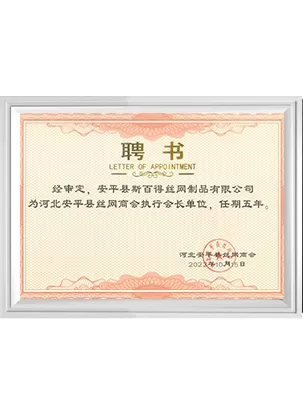 Carta de nomeação em chinês