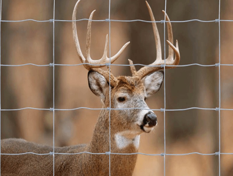 Vedação de junta articulada