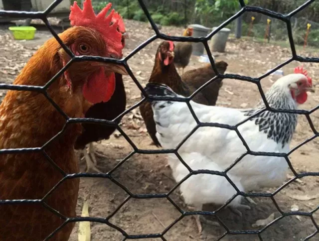 Aplicações agrícolas