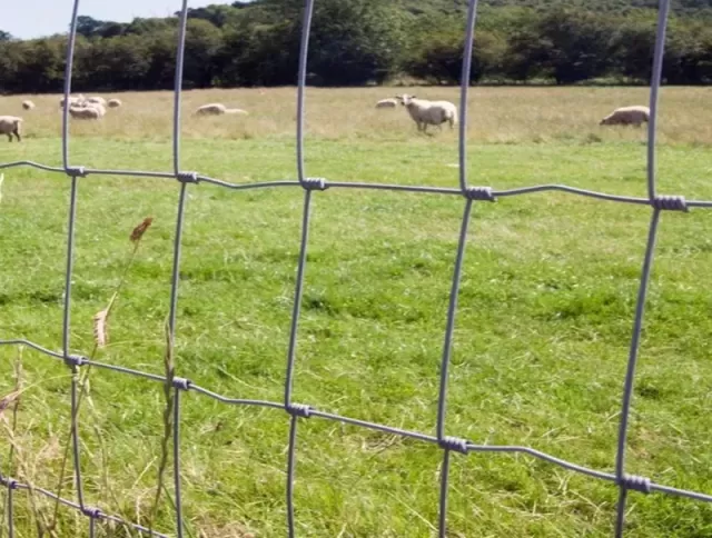 Aplicações agrícolas